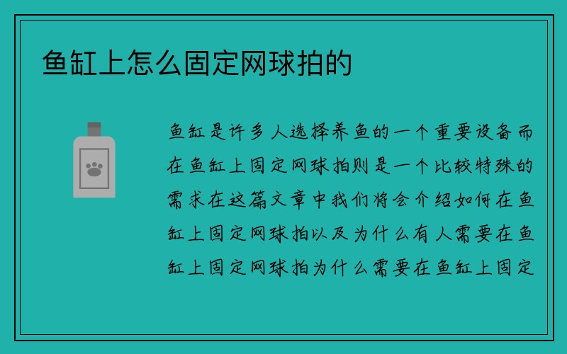 鱼缸上怎么固定网球拍的